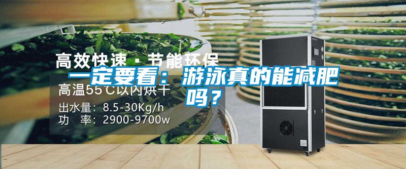 一定要看：游泳真的能減肥嗎？