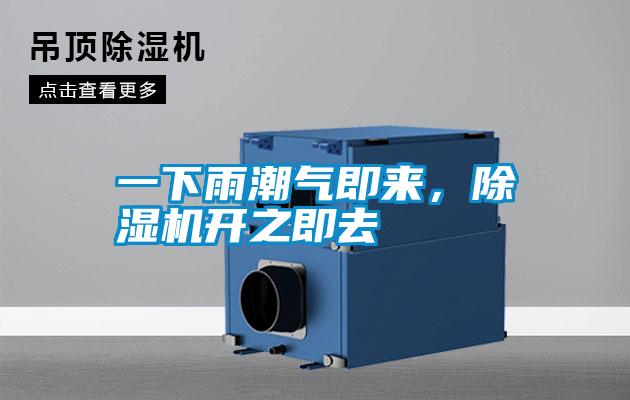 一下雨潮氣即來，除濕機開之即去