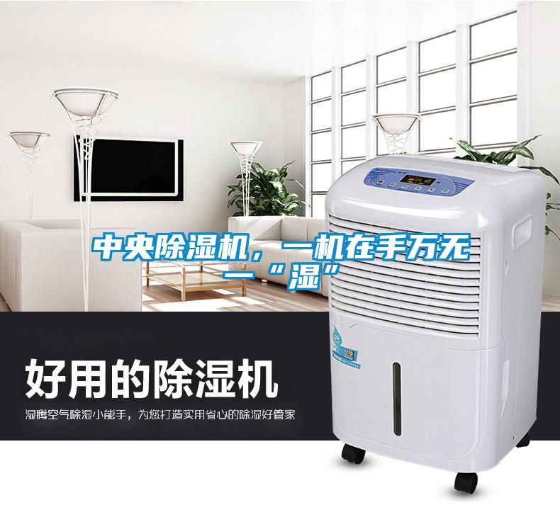 中央除濕機(jī)，一機(jī)在手萬無一“濕”