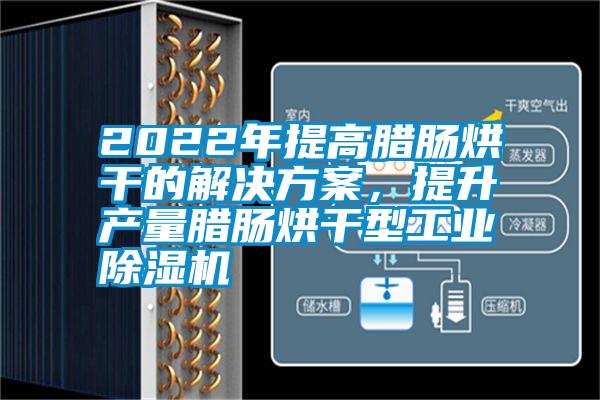 2022年提高臘腸烘干的解決方案，提升產量臘腸烘干型工業除濕機