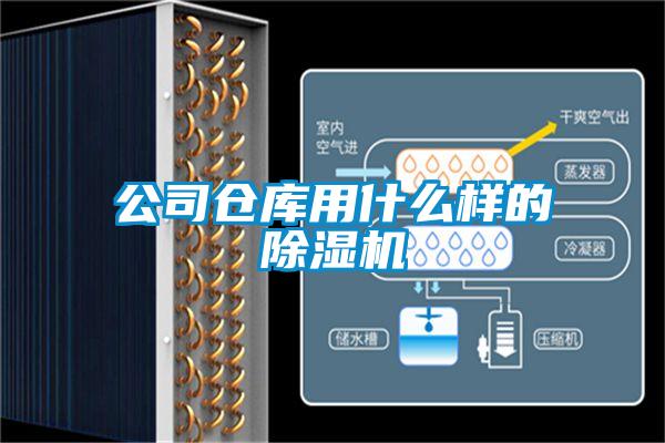 公司倉(cāng)庫用什么樣的除濕機(jī)