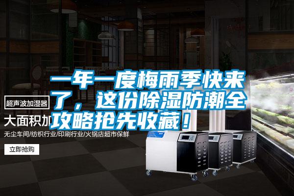 一年一度梅雨季快來了，這份除濕防潮全攻略搶先收藏！
