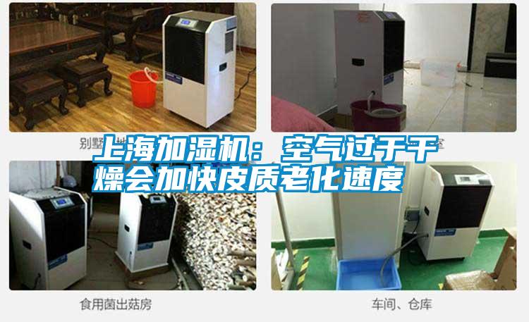 上海加濕機:空氣過于干燥會加快皮質(zhì)老化速度