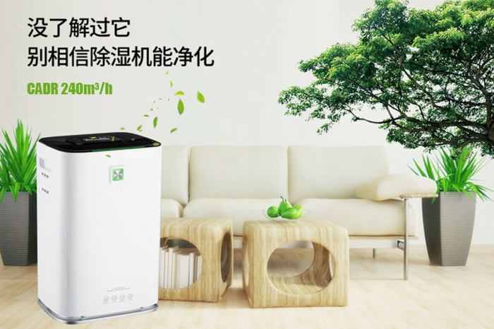一到回南天狗狗就感冒+皮膚病，怎么辦？