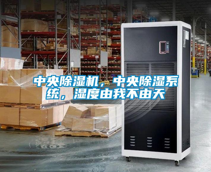 中央除濕機(jī)，中央除濕系統(tǒng)，濕度由我不由天
