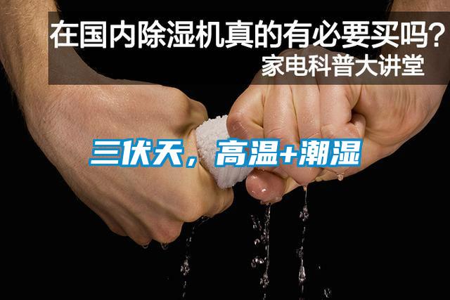 三伏天，高溫+潮濕