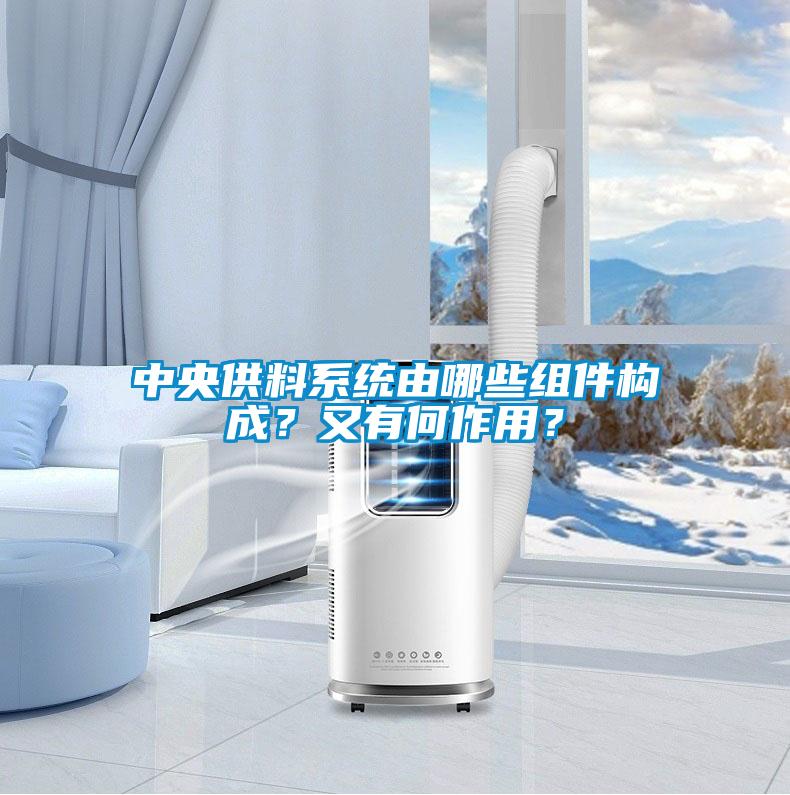 中央供料系統由哪些組件構成？又有何作用？
