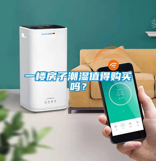 一樓房子潮濕值得購買嗎？