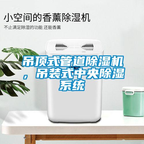 吊頂式管道除濕機，吊裝式中央除濕系統