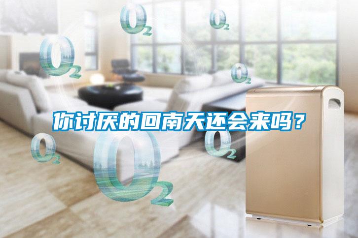 你討厭的回南天還會(huì)來(lái)嗎？