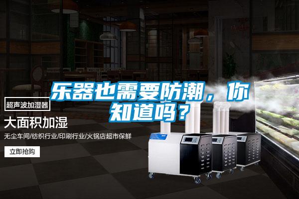 樂器也需要防潮，你知道嗎？