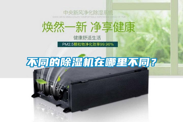 不同的除濕機在哪里不同？