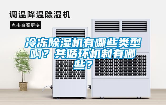 冷凍除濕機有哪些類型啊？其循環(huán)機制有哪些？