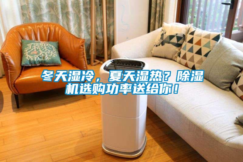 冬天濕冷，夏天濕熱？除濕機選購功率送給你！