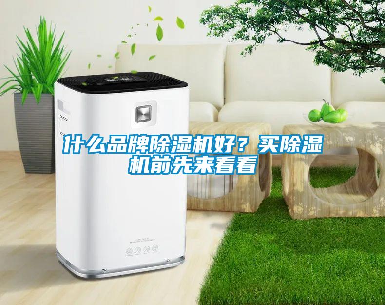 什么品牌除濕機好？買除濕機前先來看看