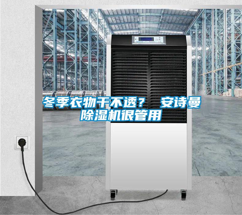 冬季衣物干不透？ 安詩曼除濕機很管用