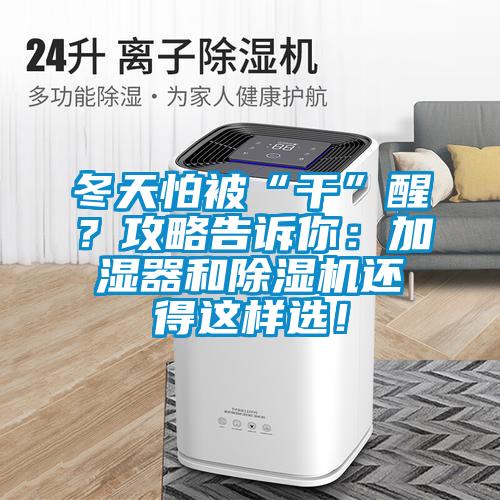 冬天怕被“干”醒？攻略告訴你：加濕器和除濕機還得這樣選！
