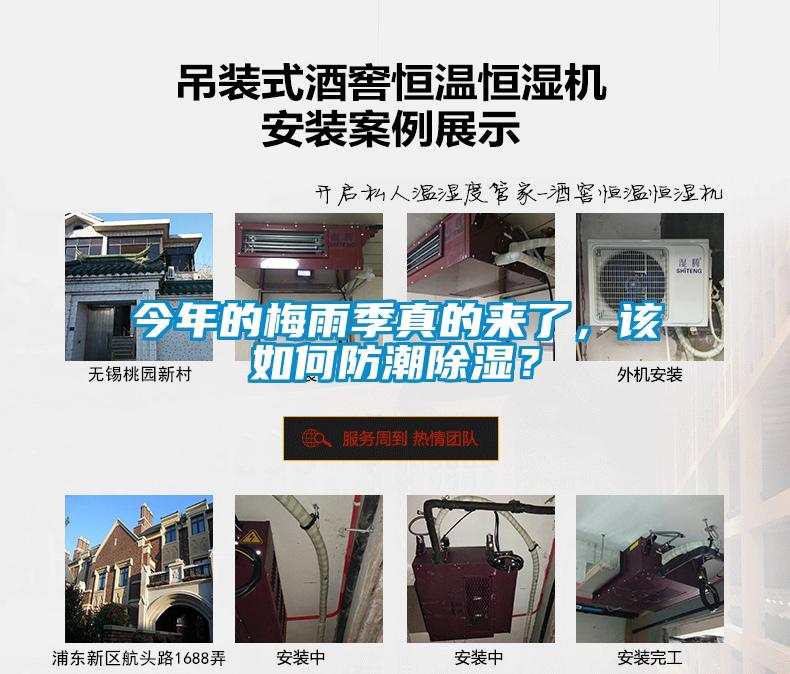 今年的梅雨季真的來了，該如何防潮除濕？