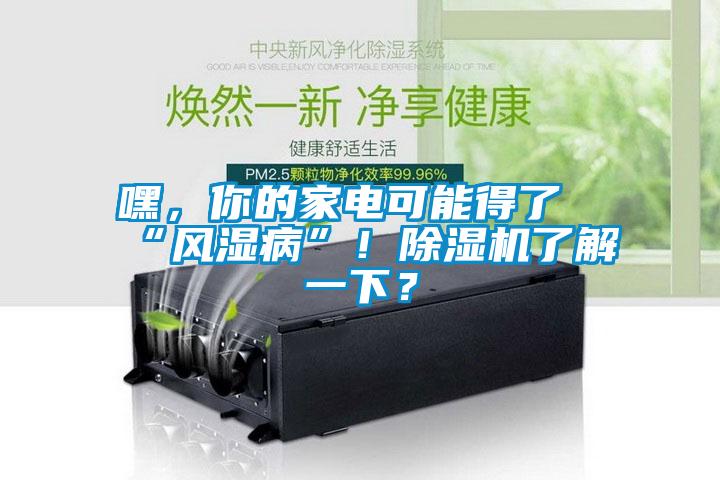 嘿，你的家電可能得了“風(fēng)濕病”！除濕機(jī)了解一下？
