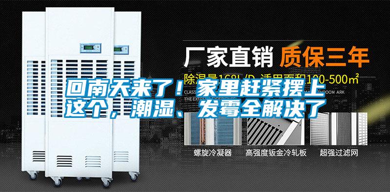 回南天來了！家里趕緊擺上這個，潮濕、發霉全解決了