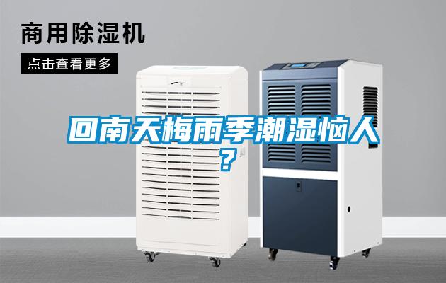 回南天梅雨季潮濕惱人？