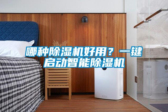 哪種除濕機好用？一鍵啟動智能除濕機