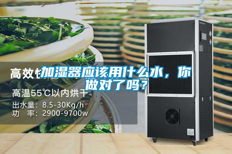 加濕器應該用什么水，你做對了嗎？