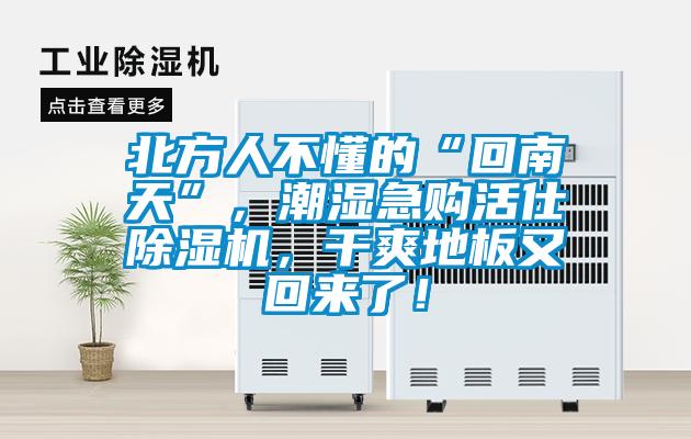 北方人不懂的“回南天”，潮濕急購(gòu)活仕除濕機(jī)，干爽地板又回來(lái)了！