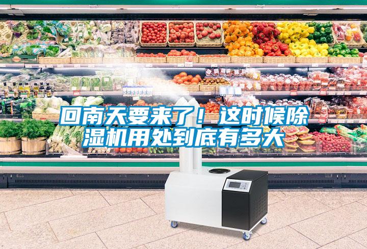回南天要來了！這時候除濕機(jī)用處到底有多大