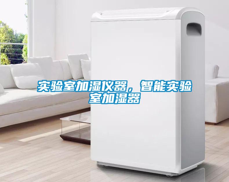 實(shí)驗(yàn)室加濕儀器，智能實(shí)驗(yàn)室加濕器