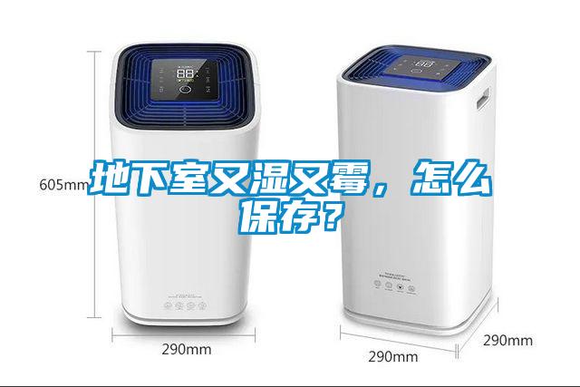 地下室又濕又霉，怎么保存？