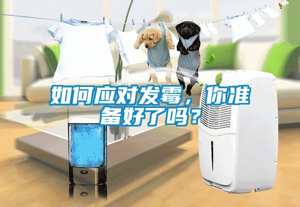 如何應對發霉，你準備好了嗎？