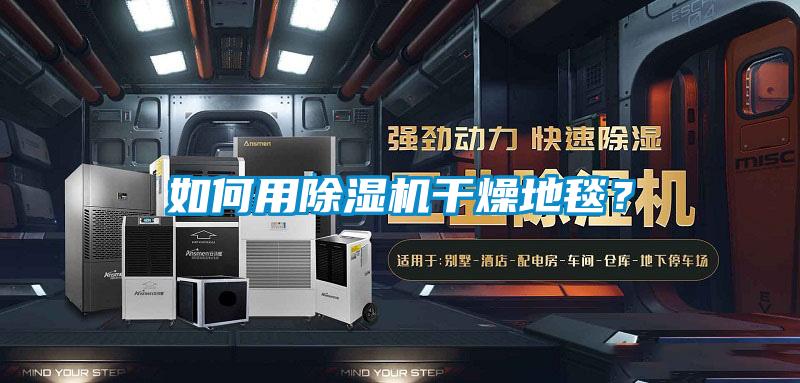 如何用除濕機(jī)干燥地毯？