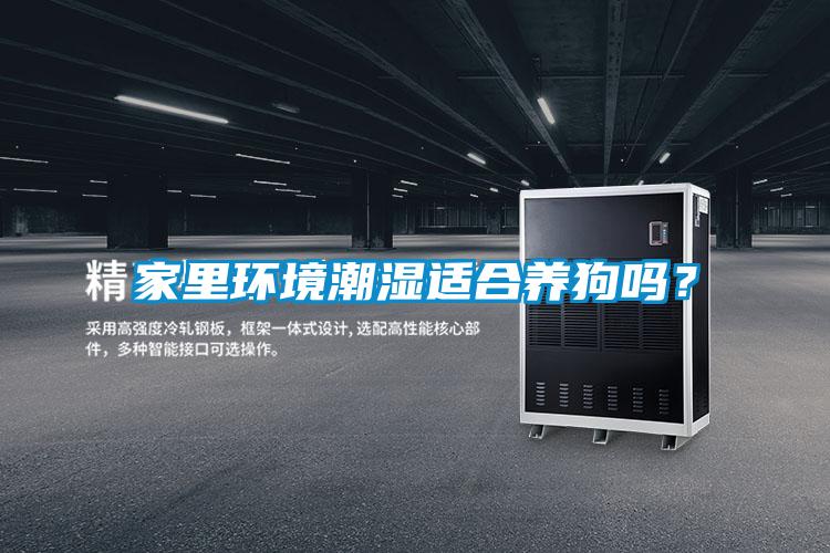 家里環境潮濕適合養狗嗎？