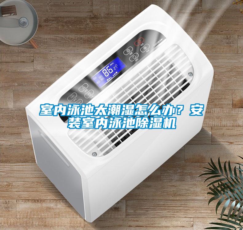 室內泳池太潮濕怎么辦？安裝室內泳池除濕機