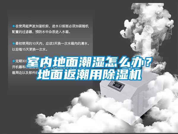 室內地面潮濕怎么辦？地面返潮用除濕機