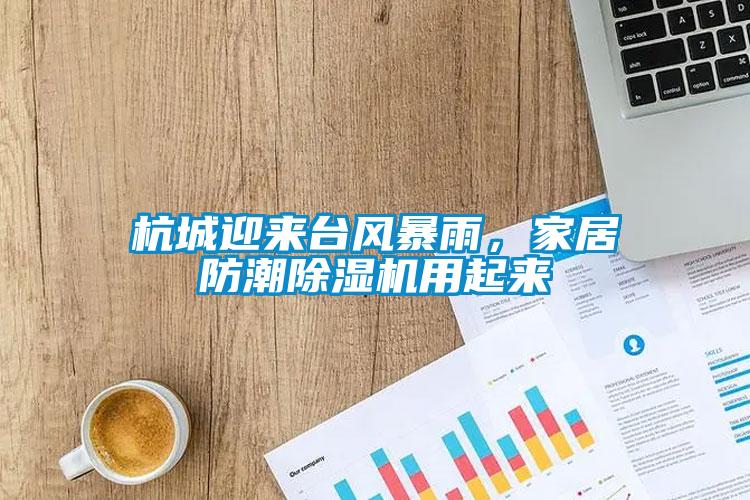 杭城迎來臺風暴雨，家居防潮除濕機用起來