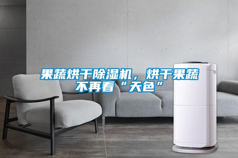 果蔬烘干除濕機，烘干果蔬不再看“天色”