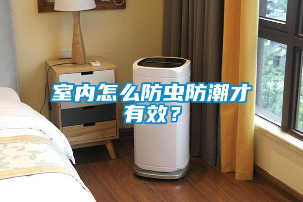 室內怎么防蟲防潮才有效？