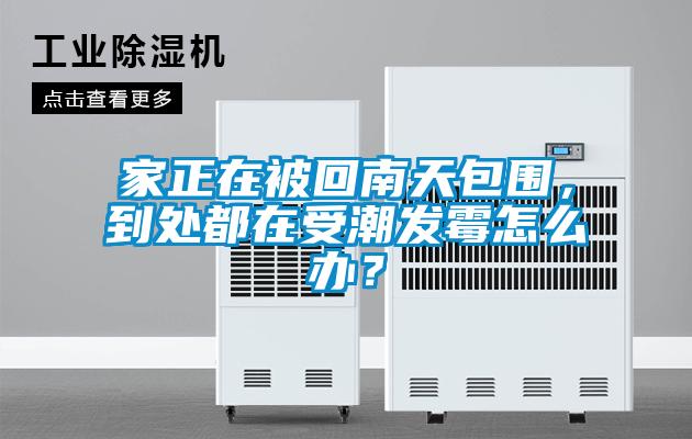 家正在被回南天包圍，到處都在受潮發(fā)霉怎么辦？