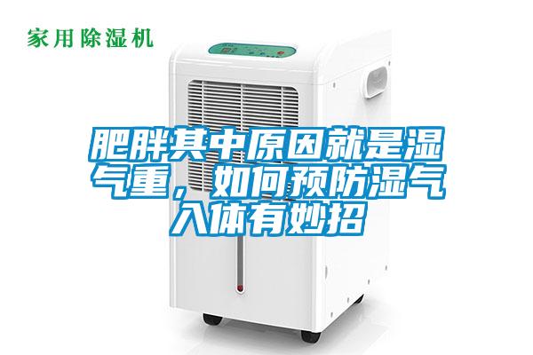 肥胖其中原因就是濕氣重，如何預防濕氣入體有妙招