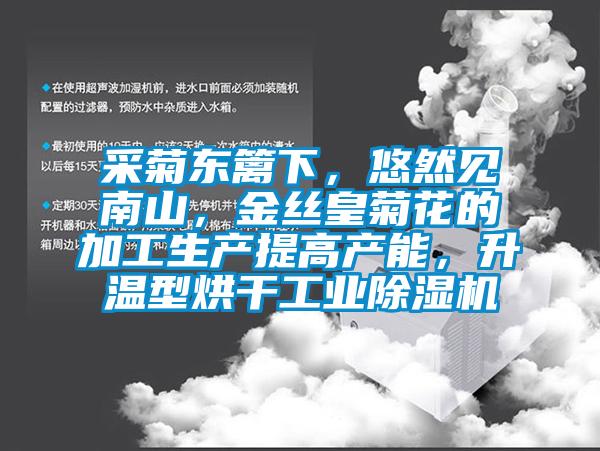 采菊東籬下，悠然見南山，金絲皇菊花的加工生產(chǎn)提高產(chǎn)能，升溫型烘干工業(yè)除濕機(jī)