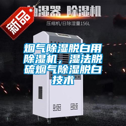 煙氣除濕脫白用除濕機(jī)，濕法脫硫煙氣除濕脫白技術(shù)