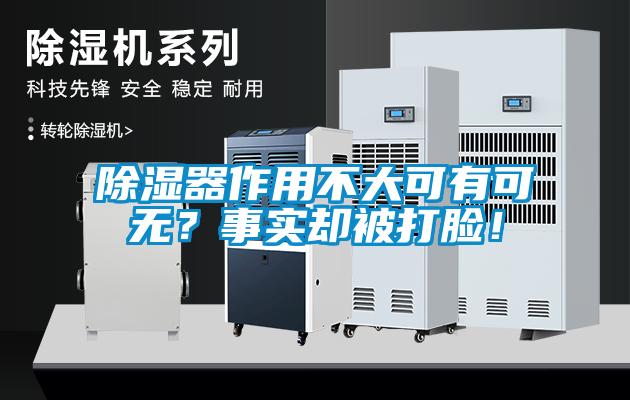 除濕器作用不大可有可無？事實卻被打臉！