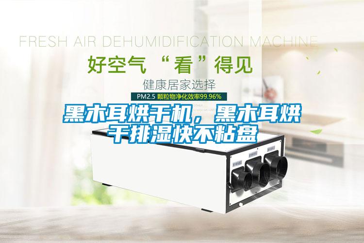 黑木耳烘干機，黑木耳烘干排濕快不粘盤