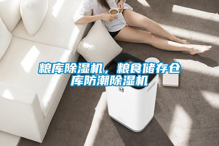 糧庫(kù)除濕機(jī)，糧食儲(chǔ)存?zhèn)}庫(kù)防潮除濕機(jī)