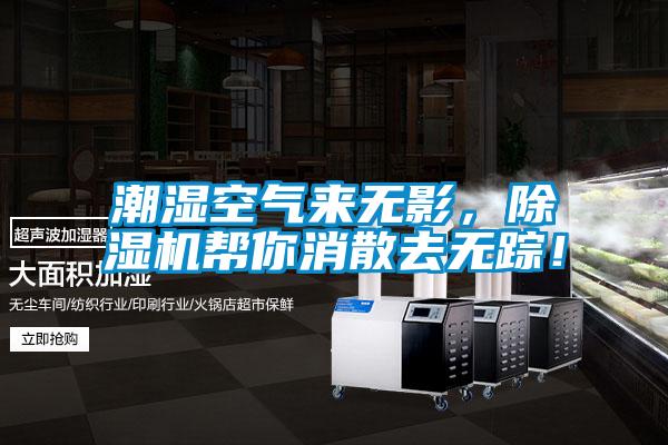 潮濕空氣來無影，除濕機幫你消散去無蹤！