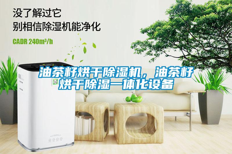 油茶籽烘干除濕機，油茶籽烘干除濕一體化設備