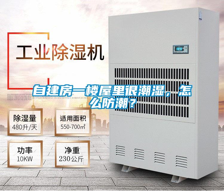 自建房一樓屋里很潮濕，怎么防潮？