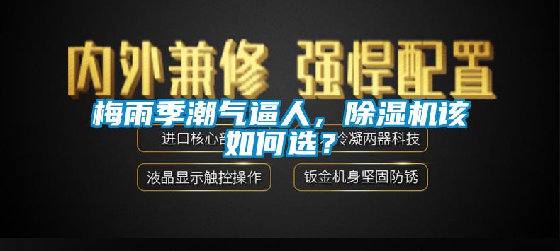 梅雨季潮氣逼人，除濕機該如何選？